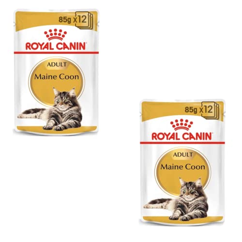 Royal Canin Maine Coon Adult | Paquete Doble | 2 x 12 x 85 g | Comida hÃºmeda para Gatos | Especialmente Adaptada a Las Necesidades de los Gatos Maine Coon | Contenido energÃ©tico Ajustado